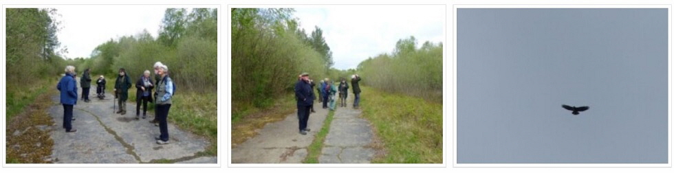 2019 April Birding and Nature Group