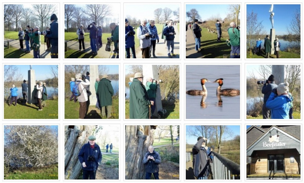 2019 Feb Birding and Nature Group