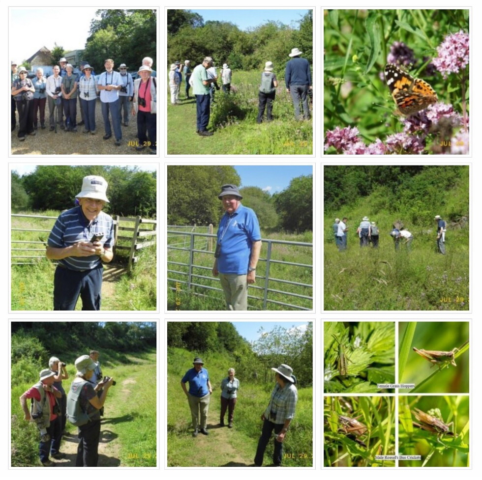 2019 July Birding and Nature Group