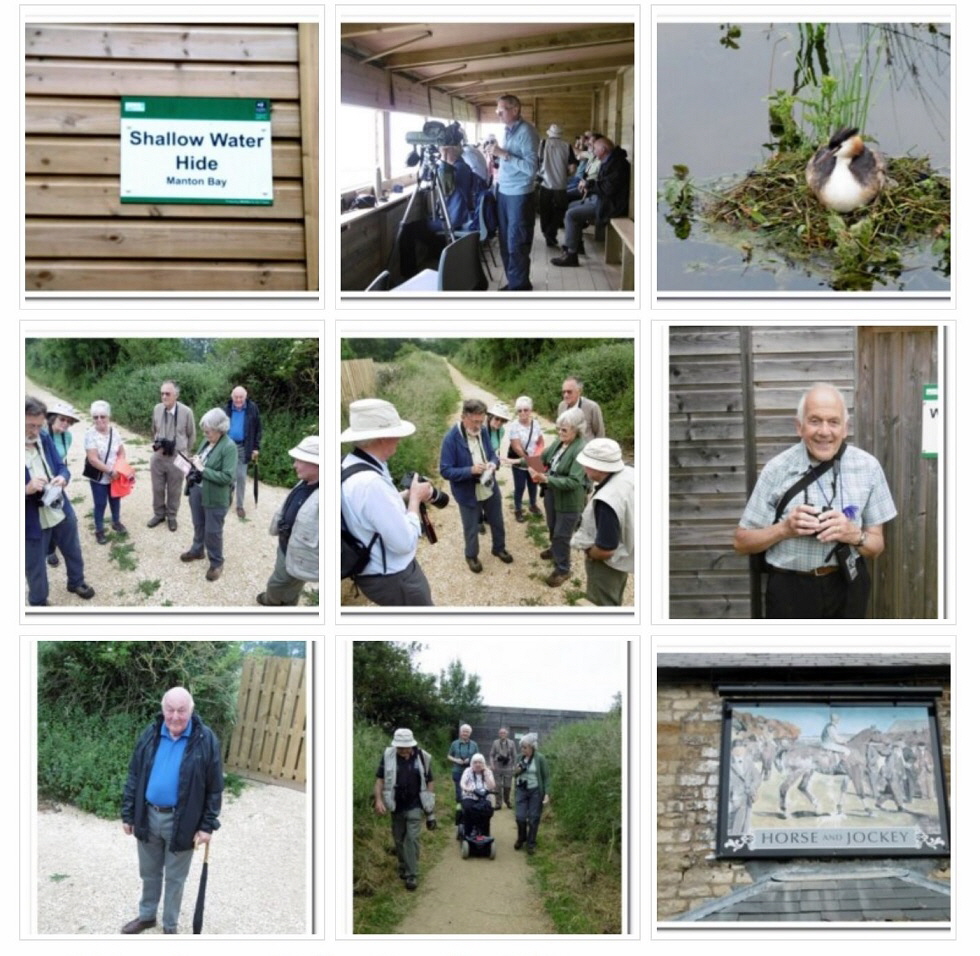 2019 June Birding and Nature Group