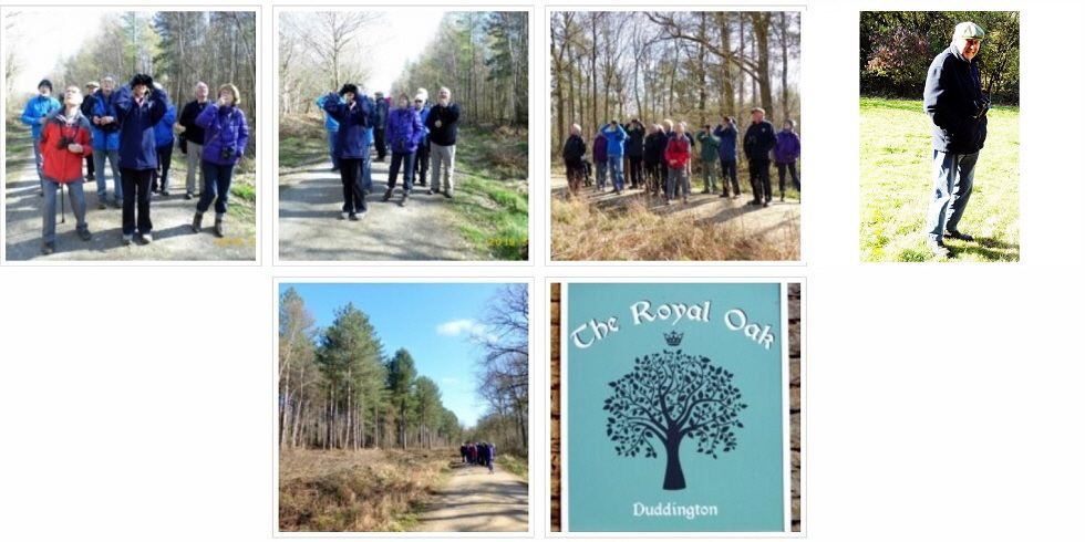 2019 March Birding and Nature Group1