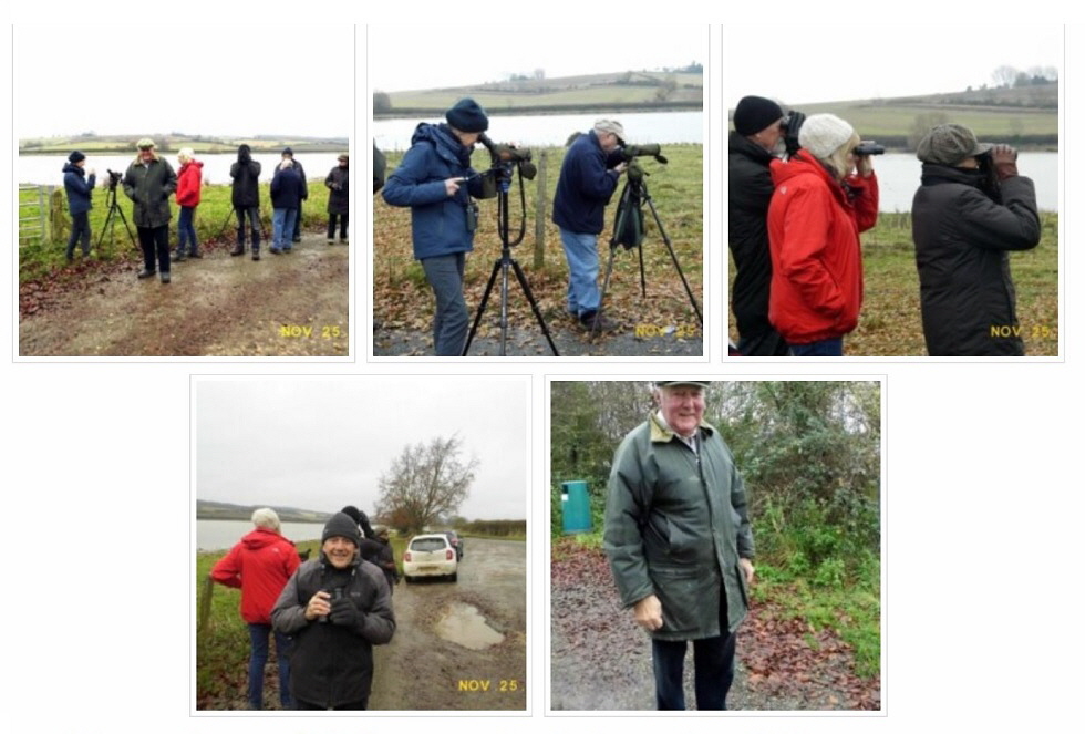 2019 Nov Birding and Nature Group