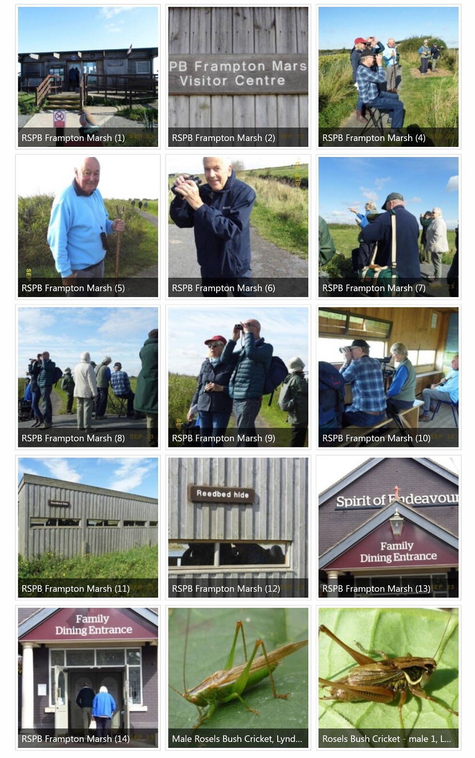 2019 Sept Birding and Nature Group