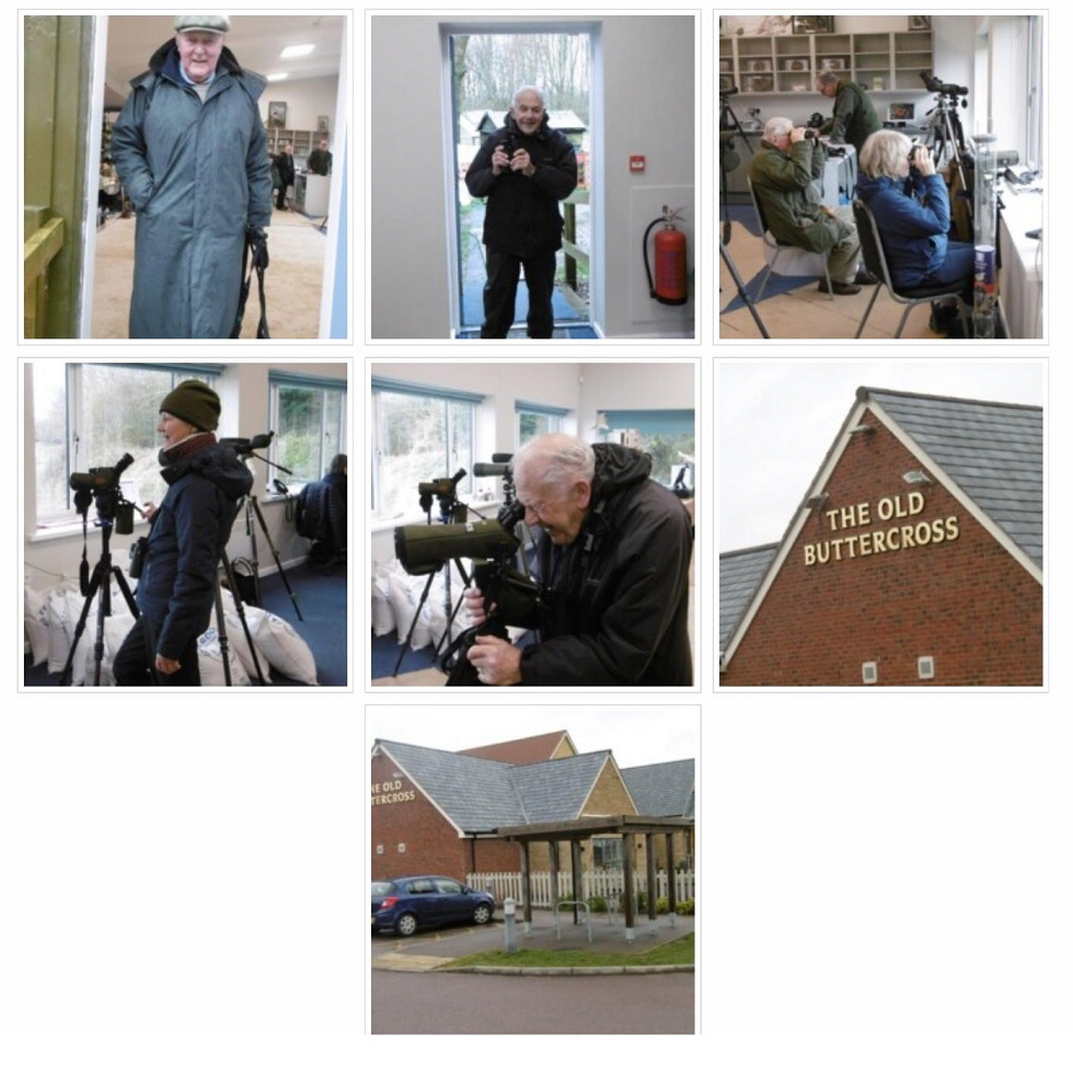 2020 Birding and Nature Group