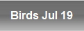 Birds Jul 19