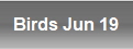 Birds Jun 19