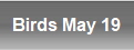 Birds May 19