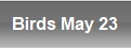 Birds May 23