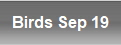 Birds Sep 19