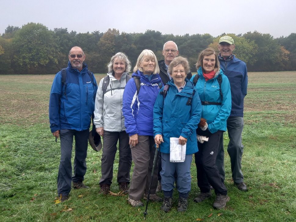 Walking In The Woods